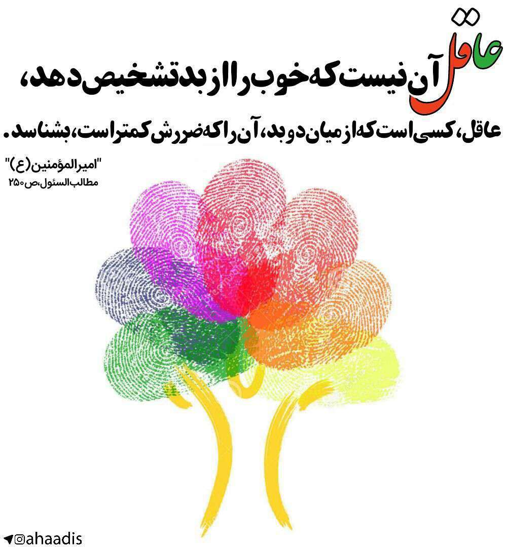 حدیثی از امام علی در مورد عاقل